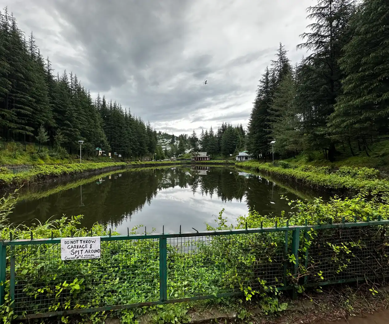 Tanni Jubbar lake, Narkanda. The hidden gems of Himachal Pradesh